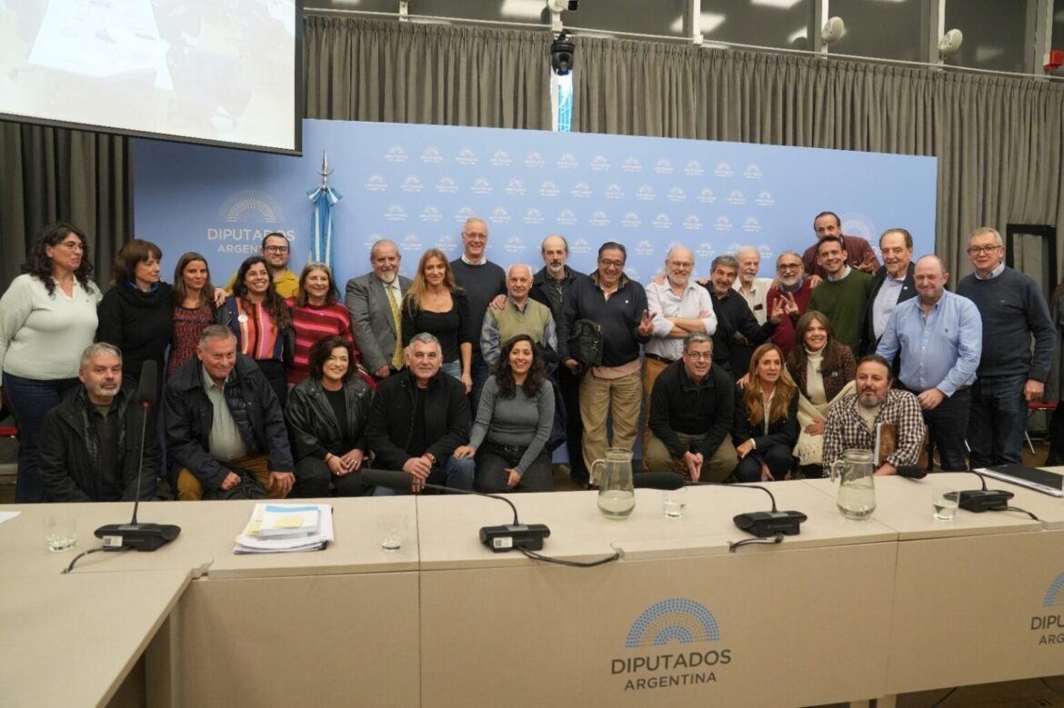 El Rector de la UNQ participó en Diputados de la comisión sobre emergencia en Ciencia y Tecnología