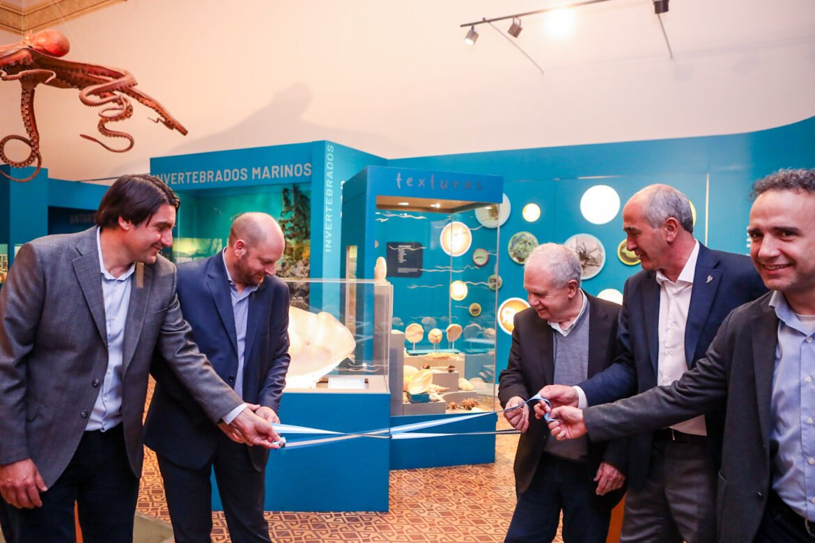 El Museo La Plata inauguró una sala de exhibición dedicada a los invertebrados que habitan el planeta