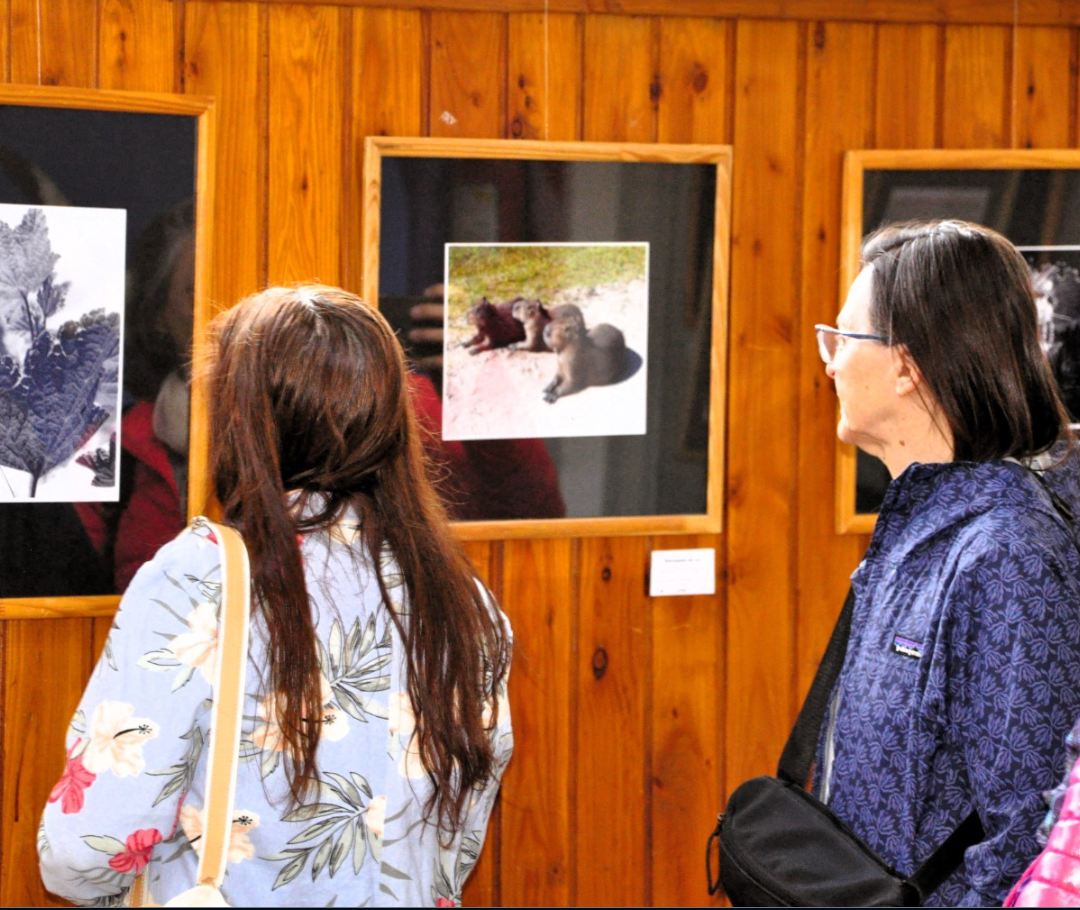 “Distancias conectadas”: une miradas desde todo el país