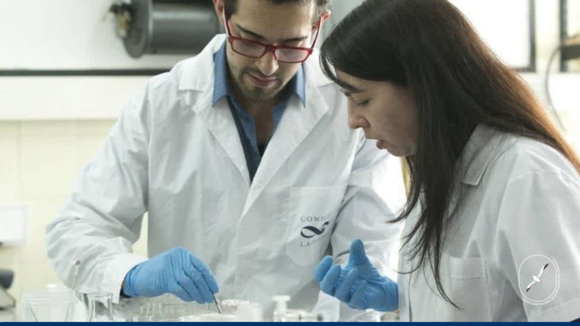 CONICET: convocatoria para proyectos de investigación
